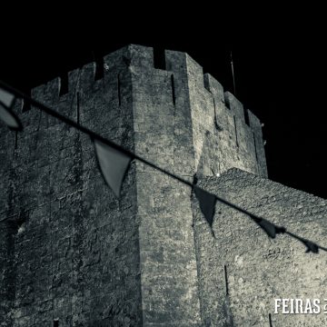 IMG_3210
