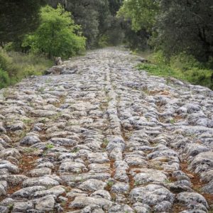 10_via_romana___alqueidao_da_serra_1_2500_2500