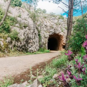 1_1_ecopista_1_2500_2500